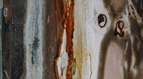 Porcelanit, výsek z vyleštěné plochy vzorku (7x5 cm), Komňa.