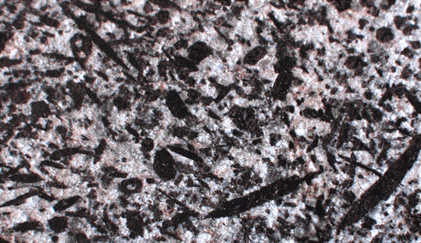 Těšínit, výsek (4x4–cm) z vyleštěné plochy vzorku suroviny, Baška.