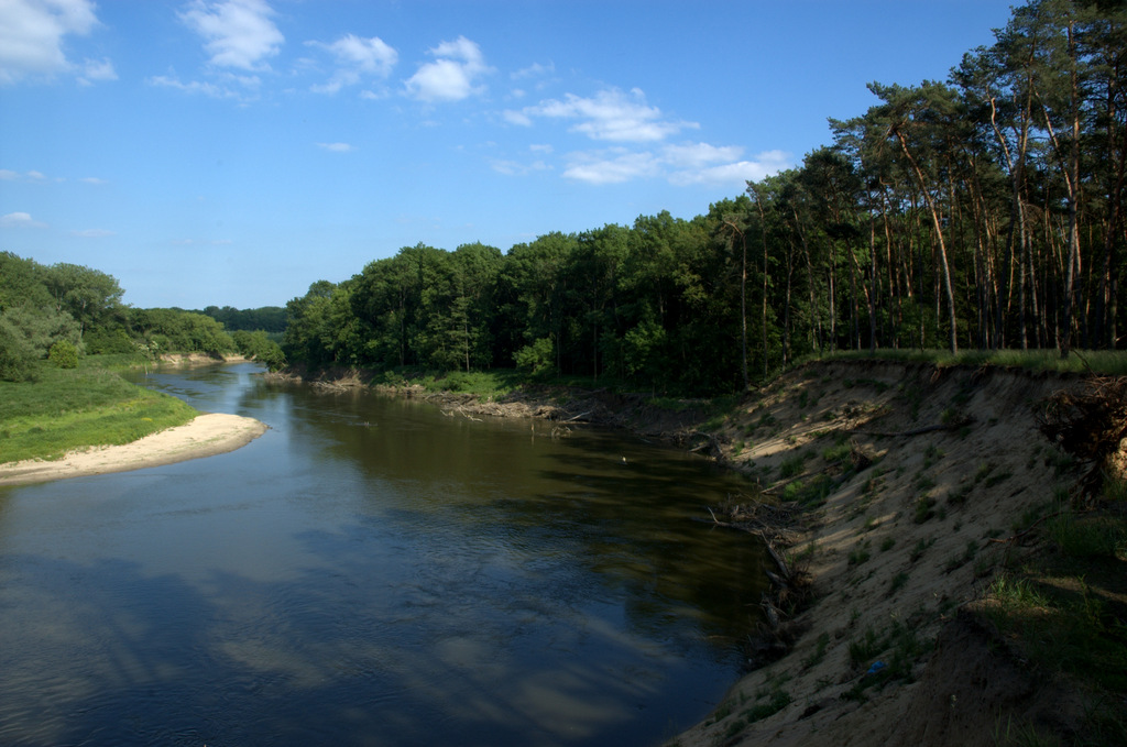 Přírodní památka Osypané břehy. Řeka Morava se zde zakousává do mocných nánosů vátých písků.