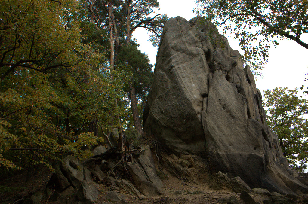 Výchozy skal jsou vázány zejména na lukovské vrstvy zlínského souvrství. PP Břestecká skála.