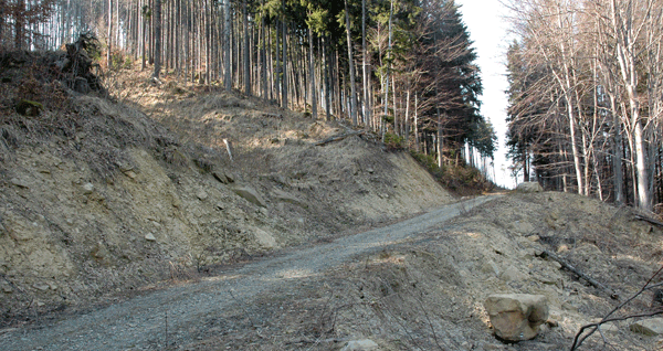 Sesuv na vých. svahu lokality Kopce (699 m).