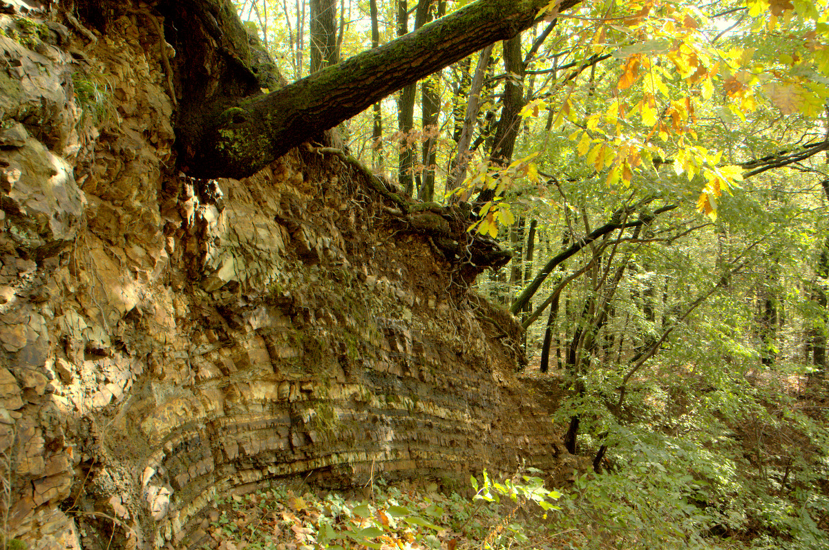 PP Skalky tvoří opuštěný lom mezi Bánovem a Bystřicí pod Lopeníkem, který je unikátní díky odkrytí proniku ložní žíly trachyandezitů skrze sedimentární horniny nivnického souvrství.