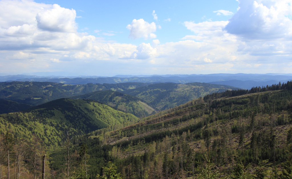 Pohled z úbočí Lysé hory (1324 m) směrem na Slovensko.