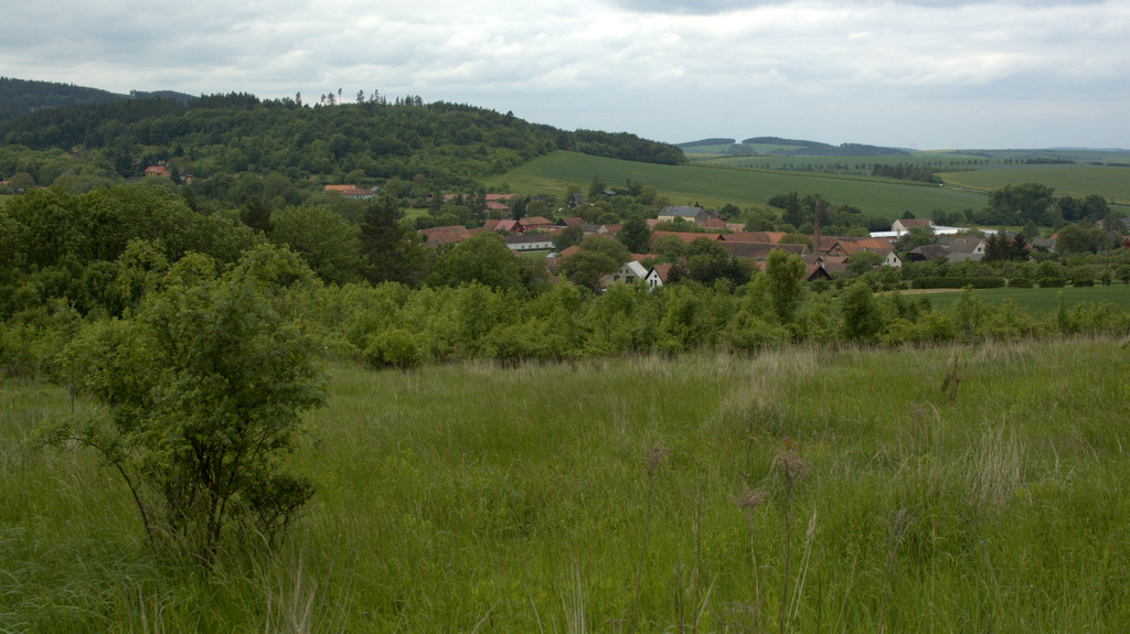 Údolí Litavy na horním toku u Zástřizel.