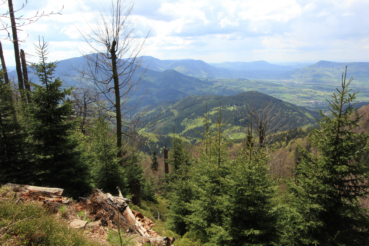 Moravskoslezské Beskydy jsou jediným horsko-vegetačním (oreofytikum) územím v rámci moravských Karpat.