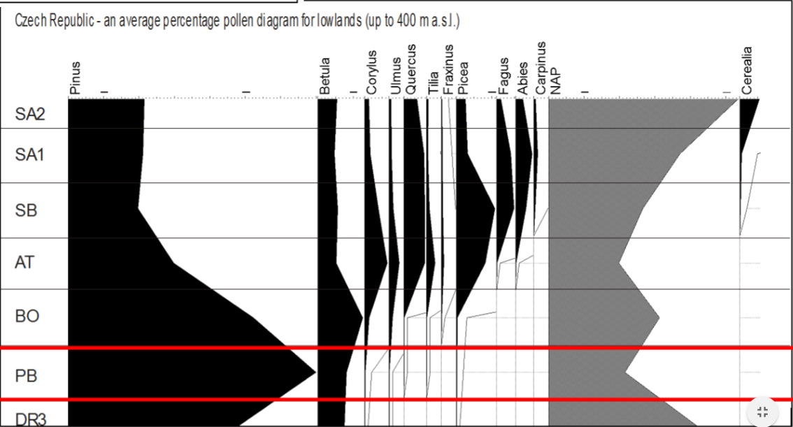 Syntetický pylový diagram ze středních poloh (400–700 m n. m.), zdroj: https://is.muni.cz/el/1431/podzim2016/Z8338/um/Kvarter_05_Zmeny_vegetace.pdf