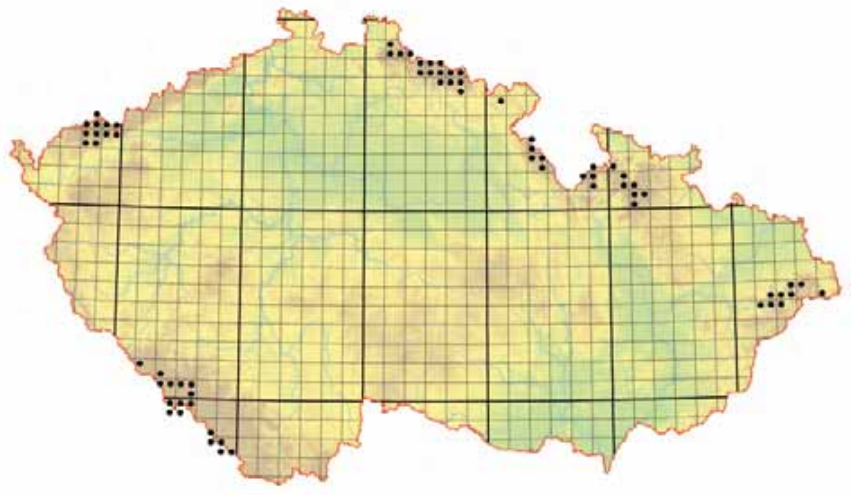 Rozšíření horských papratkových smrčin v ČR.