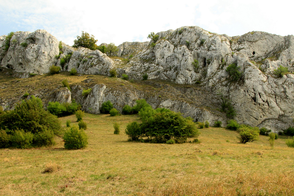 Společenstva skalních stepí svazu Seslerio-Festucion pallentis (lokalita: Skály nad soutěskou, Pavlovské vrchy, PLO 35).